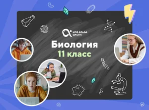 Онлайн-занятия с репетитором по биологии. 11 класс