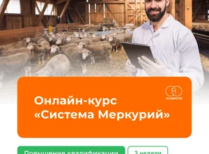 Онлайн-курс Система Меркурий. 3 недели