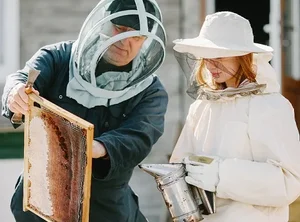 Ветеринария + Пчеловодство