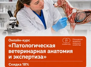 Курс Патологическая ветеринарная анатомия и экспертиза