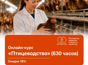 Онлайн-курс Птицеводство (630 часов)