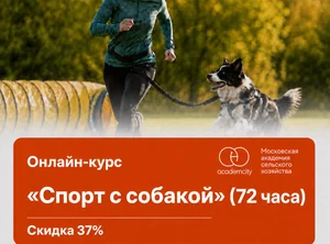 Онлайн-курс Спорт с собакой (72 часа)