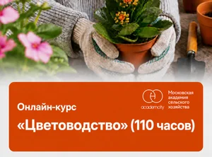 Онлайн-курс Цветоводство (110 часов)