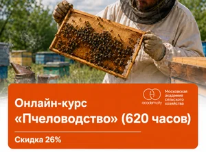 Онлайн-курс Пчеловодство (620 часов)