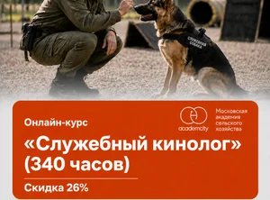 Онлайн-курс Служебный кинолог (340 часов)