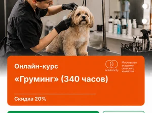 Онлайн-курс Груминг (340 часов)