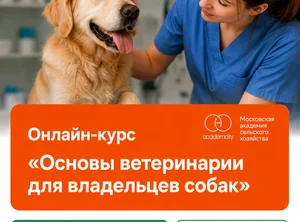 Онлайн-курс Основы ветеринарии для владельцев собак