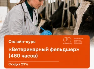 Онлайн-курс Ветеринарный фельдшер (460 часов)