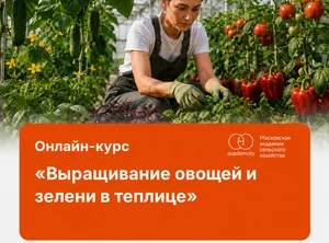 Онлайн-курс Выращивание овощей и зелени в теплице