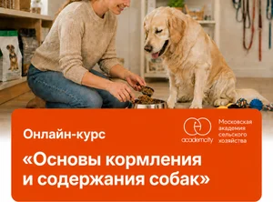 Онлайн-курс Основы кормления и содержания собак