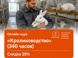 Онлайн-курс Кролиководство (340 часов)