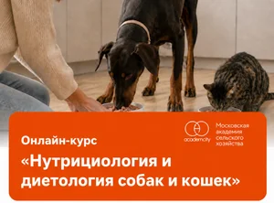 Онлайн-курс Нутрициология и диетология собак и кошек