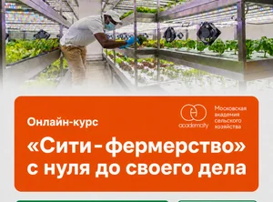 Онлайн-курс Сити-фермерство с нуля до своего дела