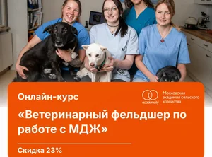 Онлайн-курс Ветеринарный фельдшер по работе с МДЖ