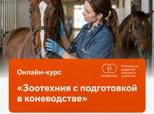 Онлайн-курс Зоотехния с подготовкой в коневодстве