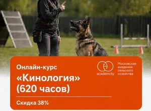 Онлайн-курс Кинология (620 часов)