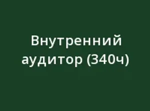 Внутренний аудитор (340ч)